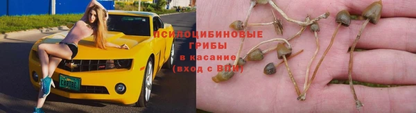 МДПВ Березники