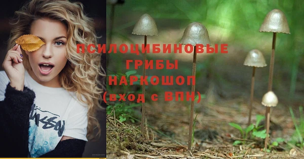 первитин Михайловск