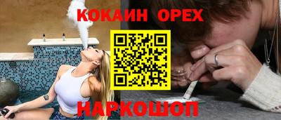 молекула духа Будённовск