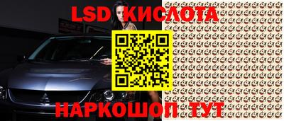 молекула духа Будённовск