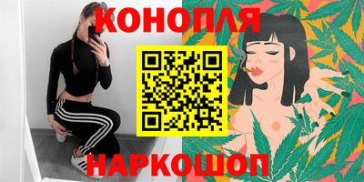 МДПВ Гатчина