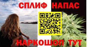 МДПВ Гатчина