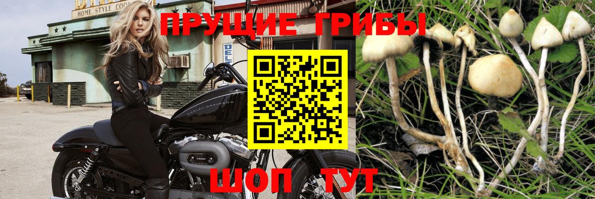 Галлюциногенные грибы Magic Shrooms  купить наркотики цена  Электросталь 