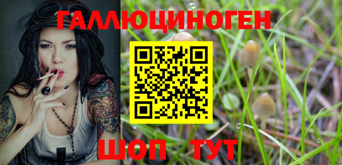 Галлюциногенные грибы Psilocybe Электросталь