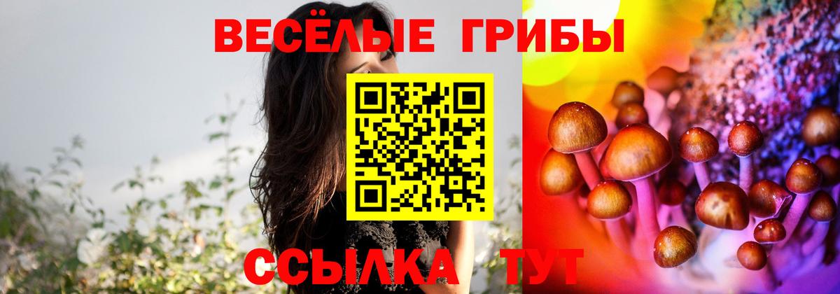 Электросталь  Галлюциногенные грибы мухоморы  Вход с VPN 